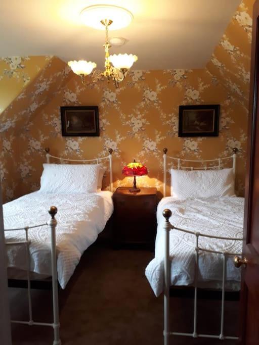 Beautiful Traditional Secluded Country Cottage Sanquhar Dış mekan fotoğraf